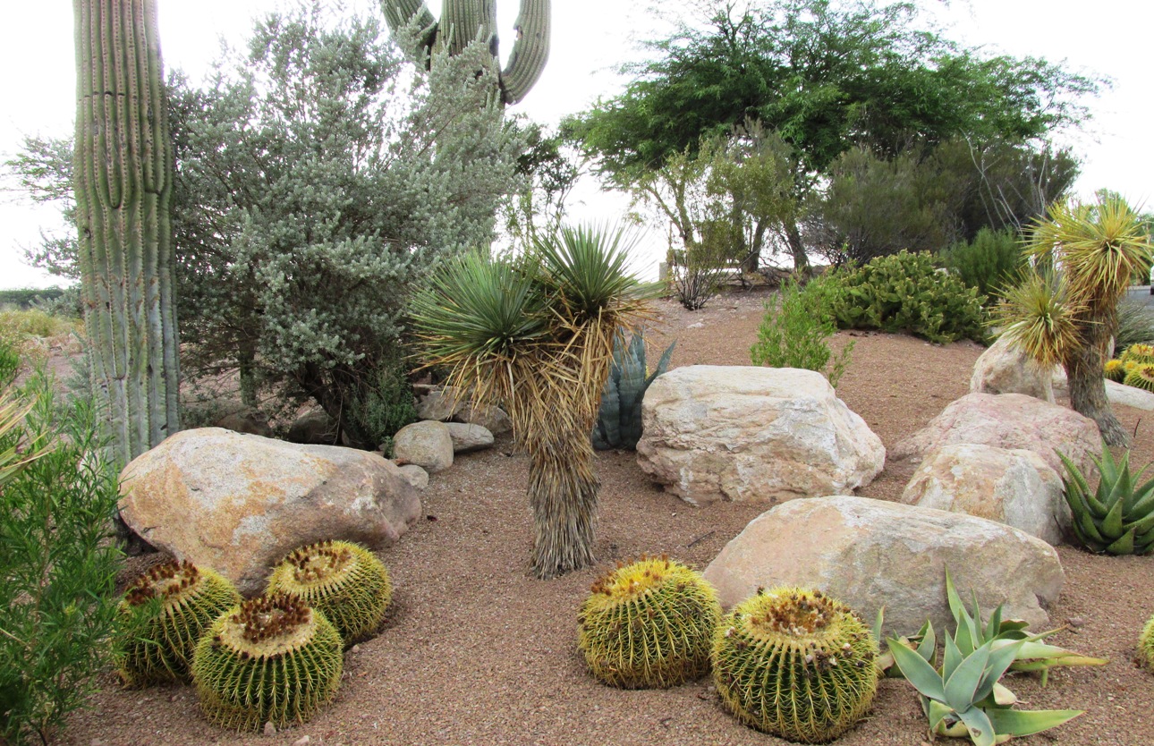 Landscape rock – Arizona Desert Xeriscape